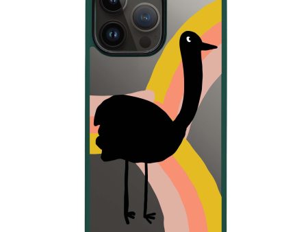 Rainbow Bird iPhone 15 Pro Max Impact Guard Bumper Case For Sale