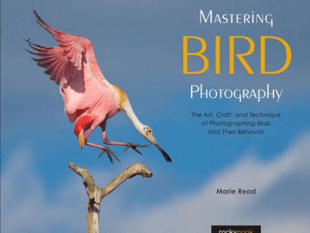 Marie Reads Mastering Bird Photography: The Art, Craft, and Technique of Photographing Birds and Their Behavior Cheap