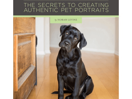 Norah Levine Pet Photography: The Secrets to Creating Authentic Pet Portraits Online Hot Sale