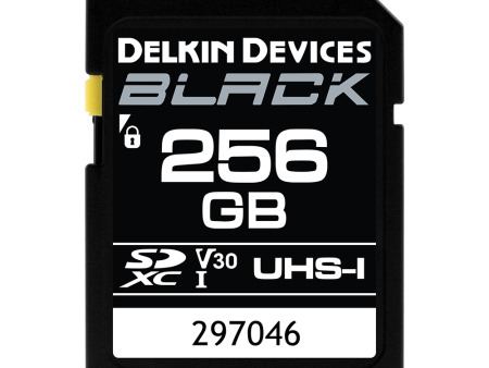 Delkin SDXC Black Memory Card 256 GB For Sale