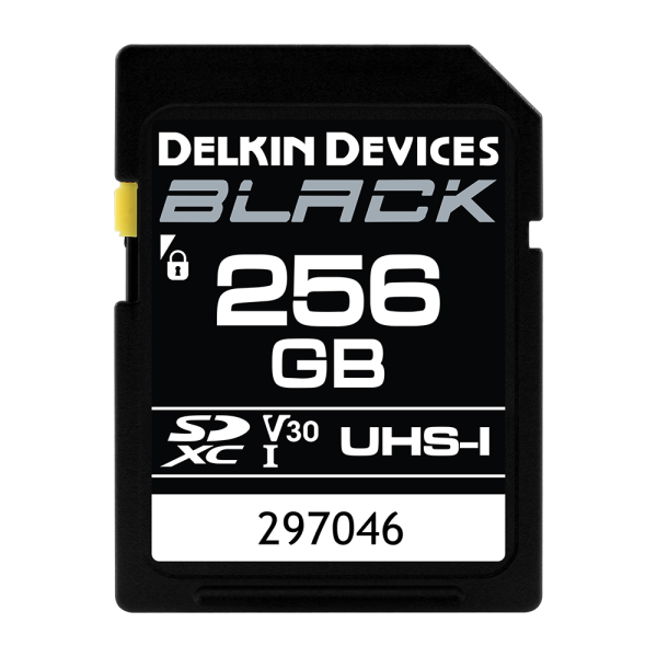 Delkin SDXC Black Memory Card 256 GB For Sale