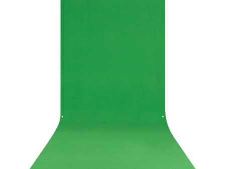 Westcott X-Drop Background (5 x 12, Green Screen) For Sale