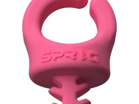 SPRIG 1 4 -20 6 PACK (PINK) Online Hot Sale