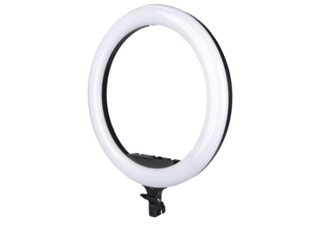 Promaster Specialist R19RGB 19  LED Ringlight Online Sale